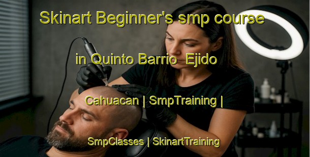 Skinart Beginner's smp course in Quinto Barrio  Ejido Cahuacan | SmpTraining | SmpClasses | SkinartTraining-Mexico